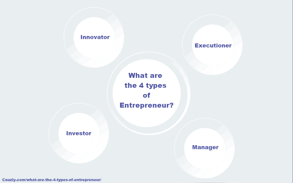 What are the 4 types of Entrepreneur?